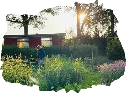 Pluktuin Drenthe Bloem'n lokaal ontspannen
