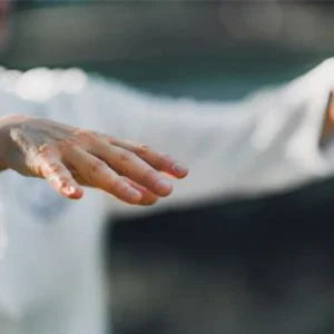 Zhineng Qigong Chinese bewegingsleer lessen Drenthe